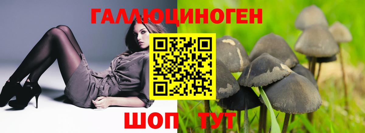 Жуковский  Галлюциногенные грибы мицелий  Галлюциногенные грибы MAGIC MUSHROOMS  цены наркотик  Вход с VPN 